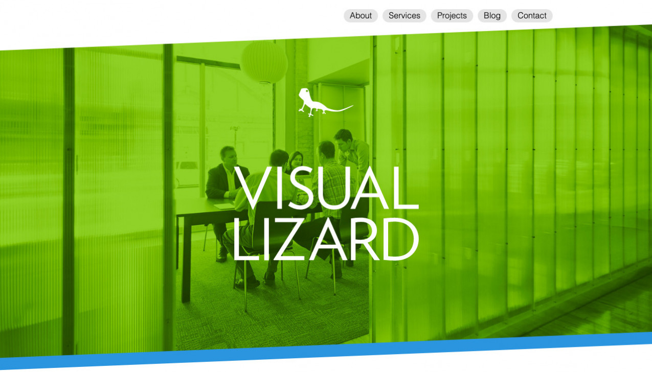 "Visual Lizard" Project Main Screenshot